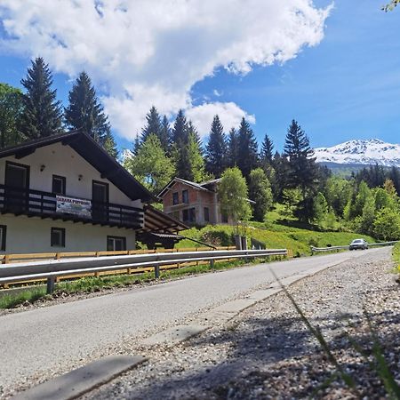 Casa Pietrosu Rodnei Hotell Borşa Exteriör bild