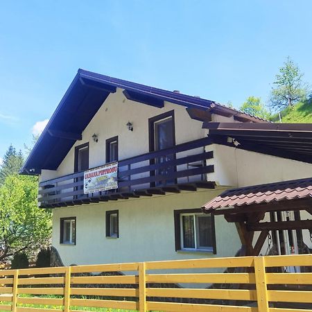 Casa Pietrosu Rodnei Hotell Borşa Exteriör bild