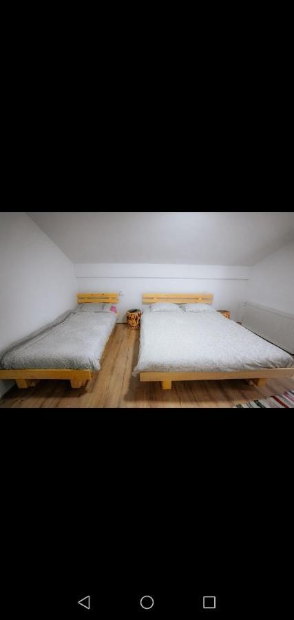Casa Pietrosu Rodnei Hotell Borşa Exteriör bild