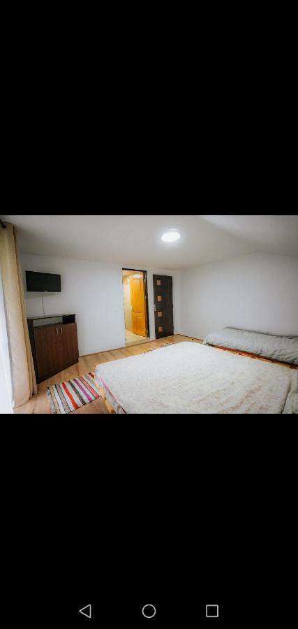 Casa Pietrosu Rodnei Hotell Borşa Exteriör bild