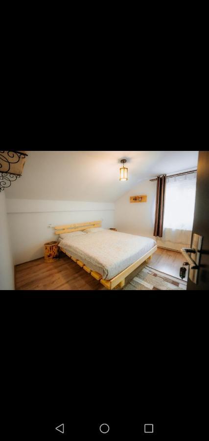 Casa Pietrosu Rodnei Hotell Borşa Exteriör bild