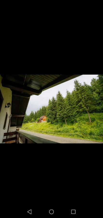 Casa Pietrosu Rodnei Hotell Borşa Exteriör bild