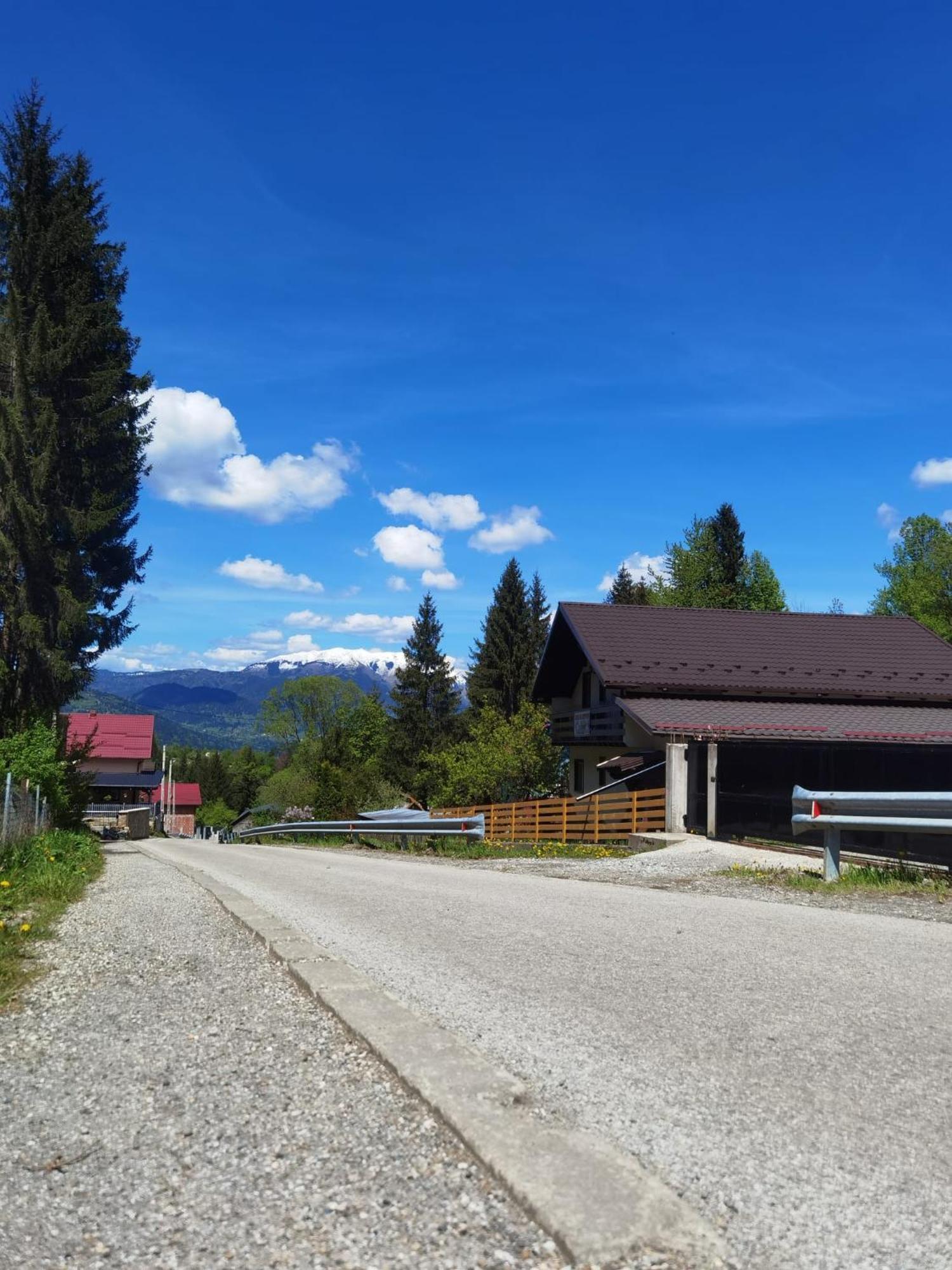 Casa Pietrosu Rodnei Hotell Borşa Exteriör bild