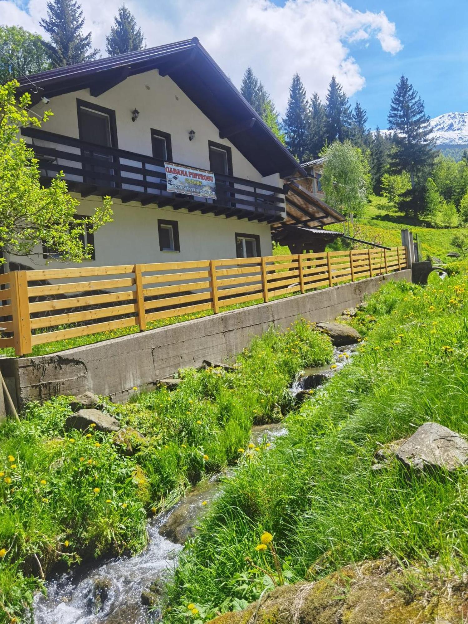 Casa Pietrosu Rodnei Hotell Borşa Exteriör bild