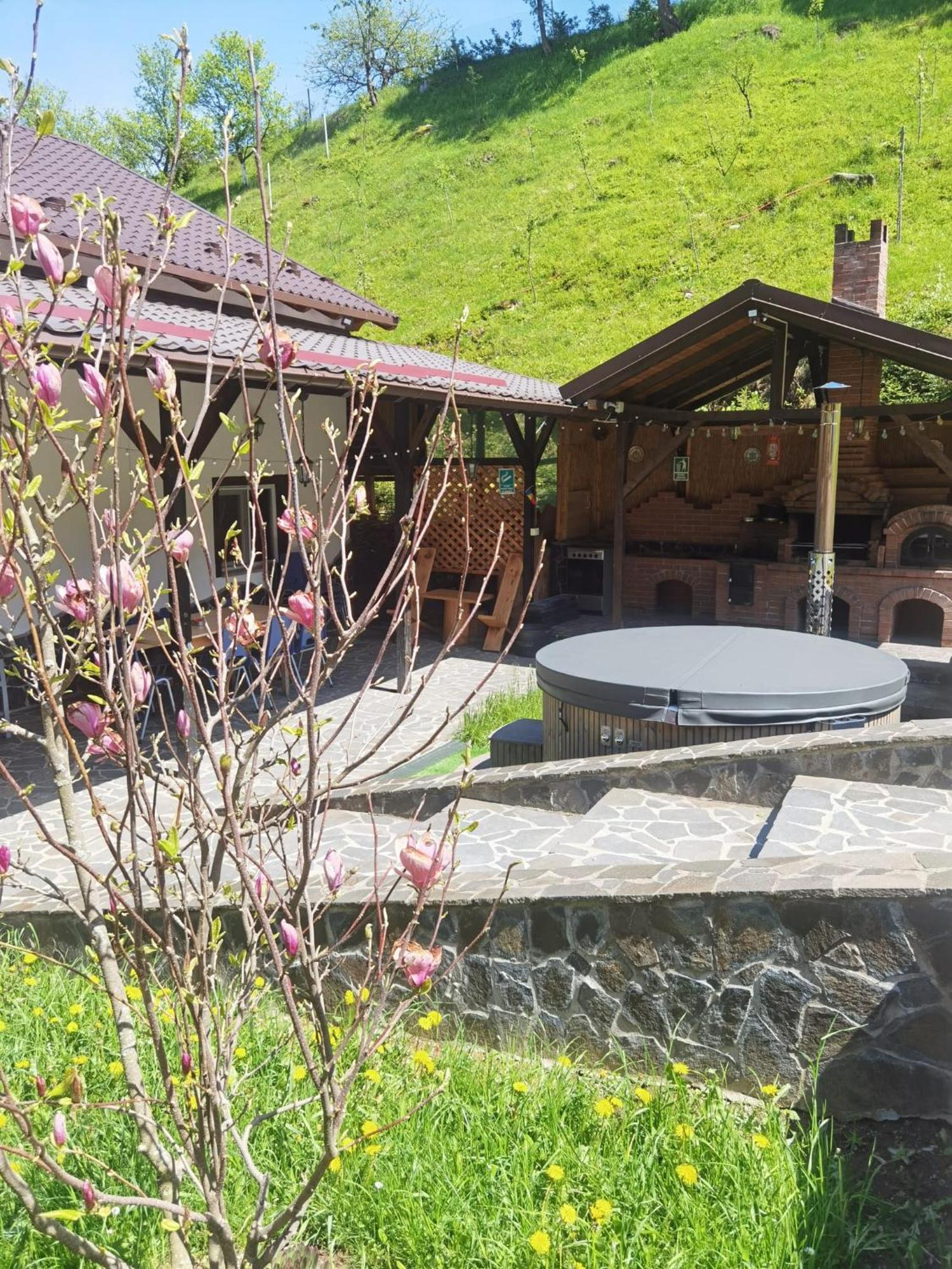 Casa Pietrosu Rodnei Hotell Borşa Exteriör bild